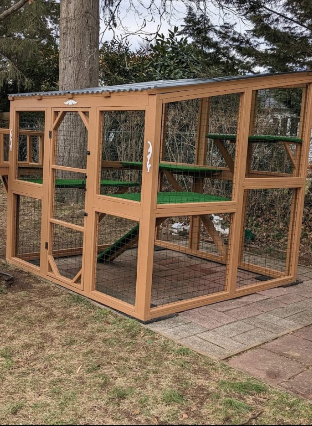 What a Real Catio Should Actually Look Like (Most People Get This Wrong)