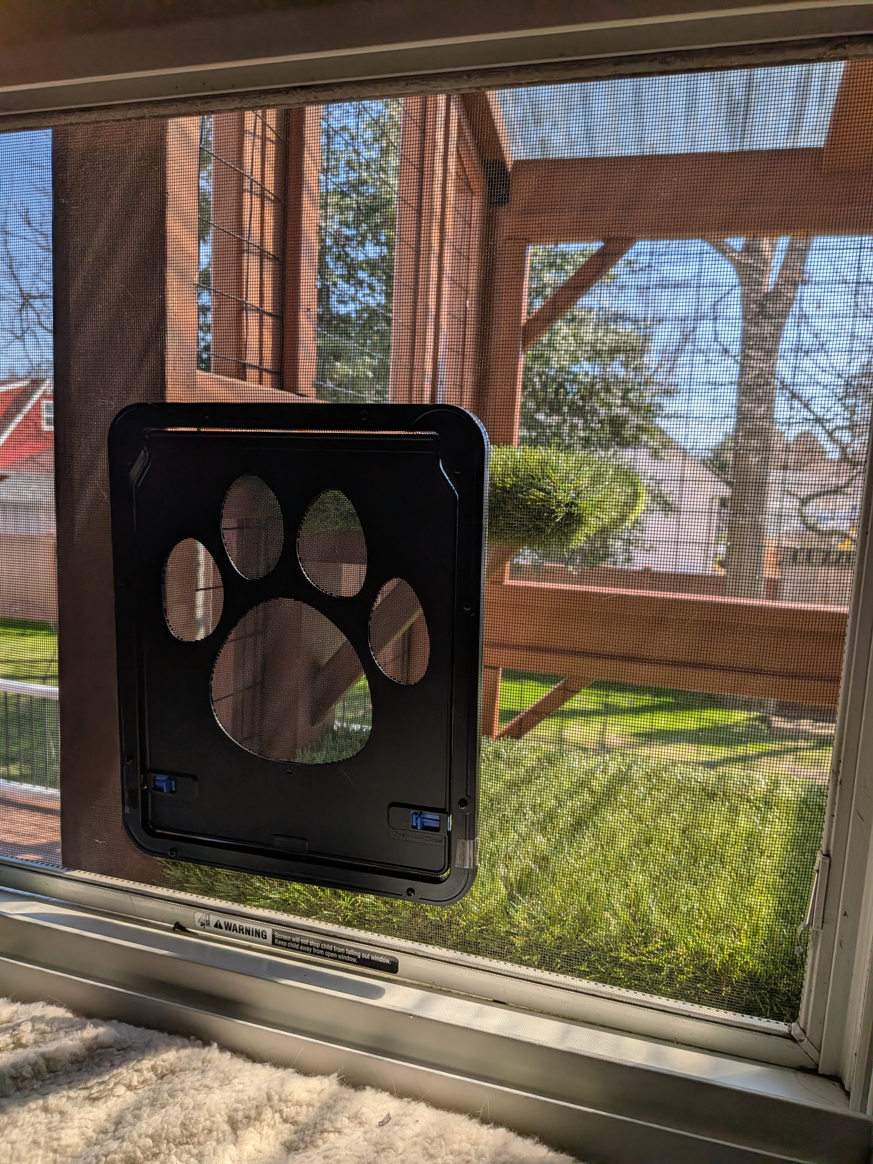 5 Things to Consider Before Building a Catio