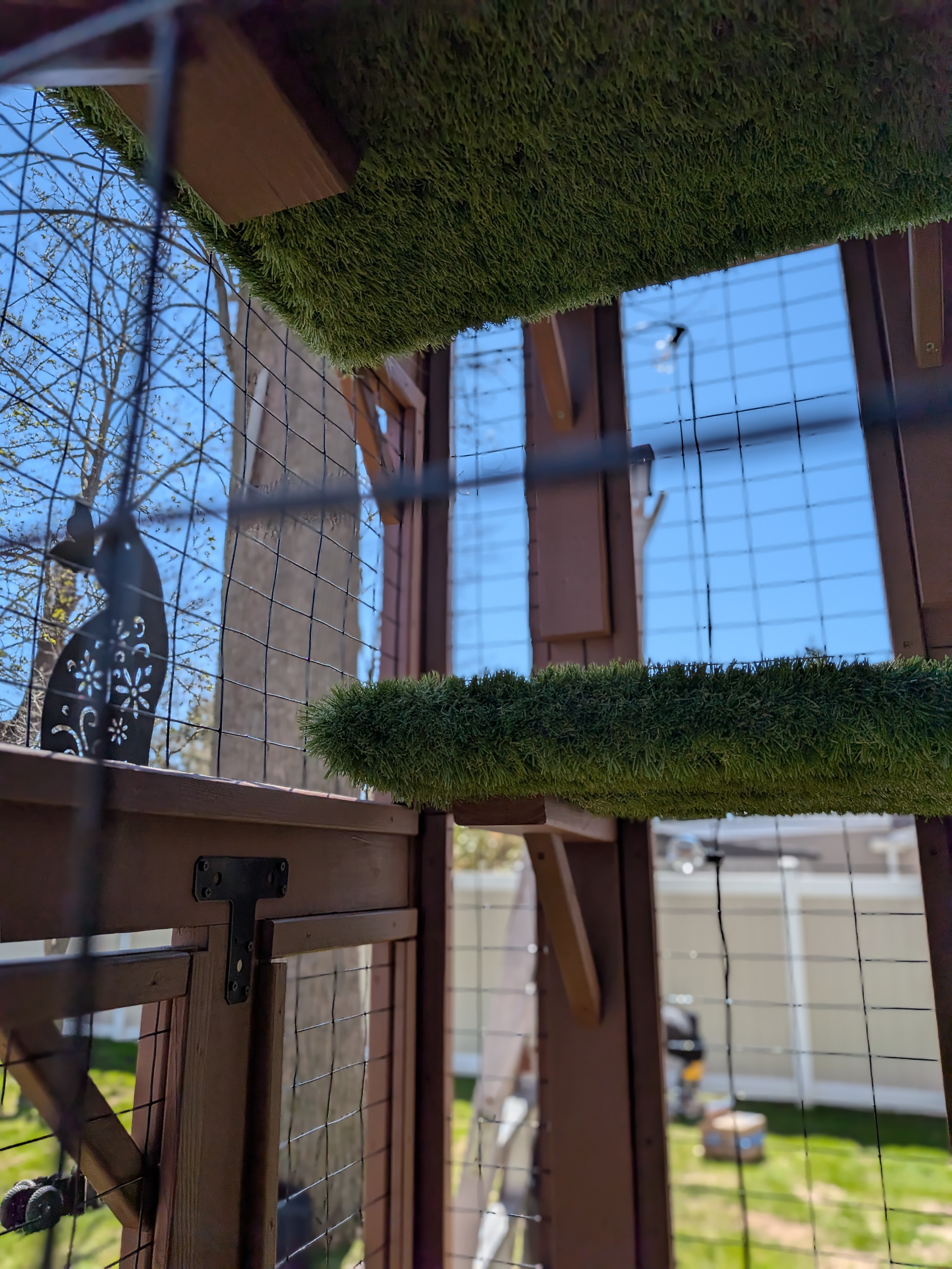 Why Your Indoor Cat Needs a Catio This Summer
